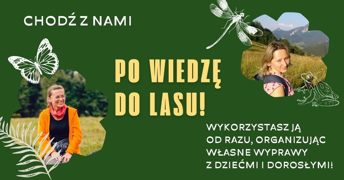 "PO WIEDZ\u0118 DO LASU - warsztat przyrodniczy dla edukatorek\/\u00f3w, nauczycielek\/i, nauczycieli i rodzic\u00f3w