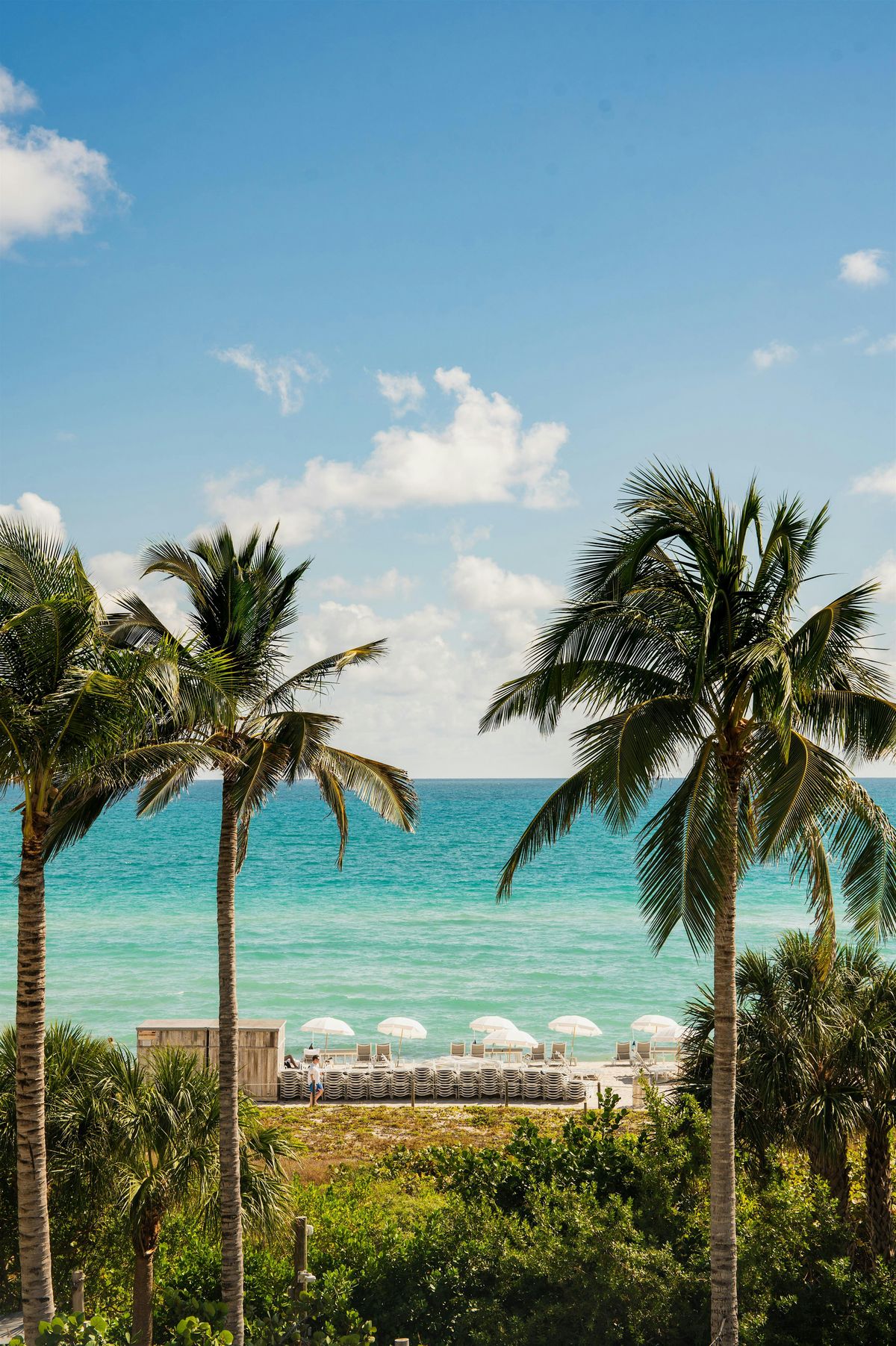 National Beach Day Meditation