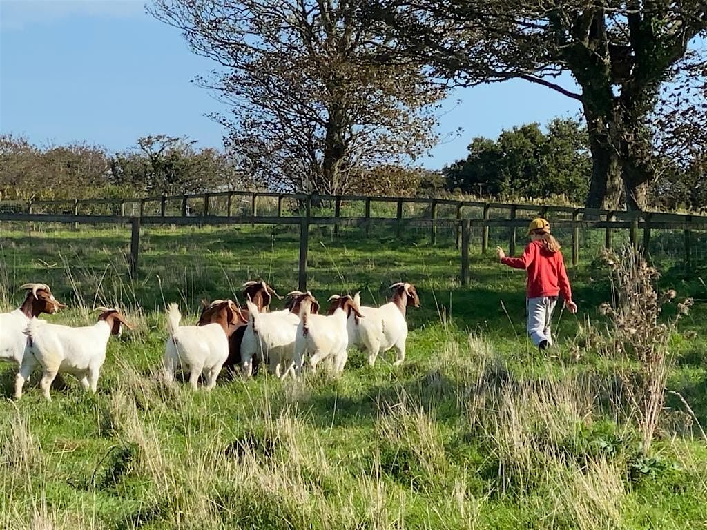 SCOOP Open Farm Days 2024 - Bramble Farm