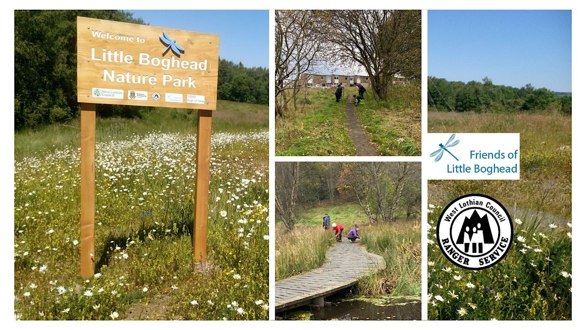 Little Boghead Volunteer Session