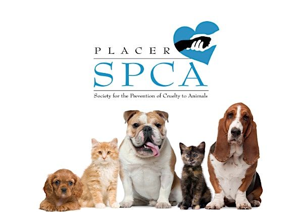 Placer SPCA  Volunteer Orientation (Adult).