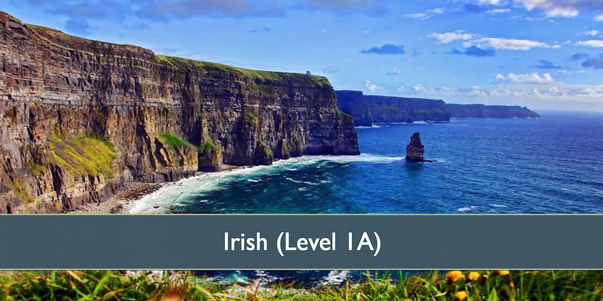 Irish Level 1(A) - April 2024
