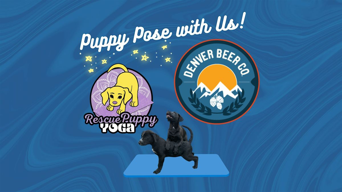 Rescue Puppy Yoga -  Denver Beer Co. Arvada