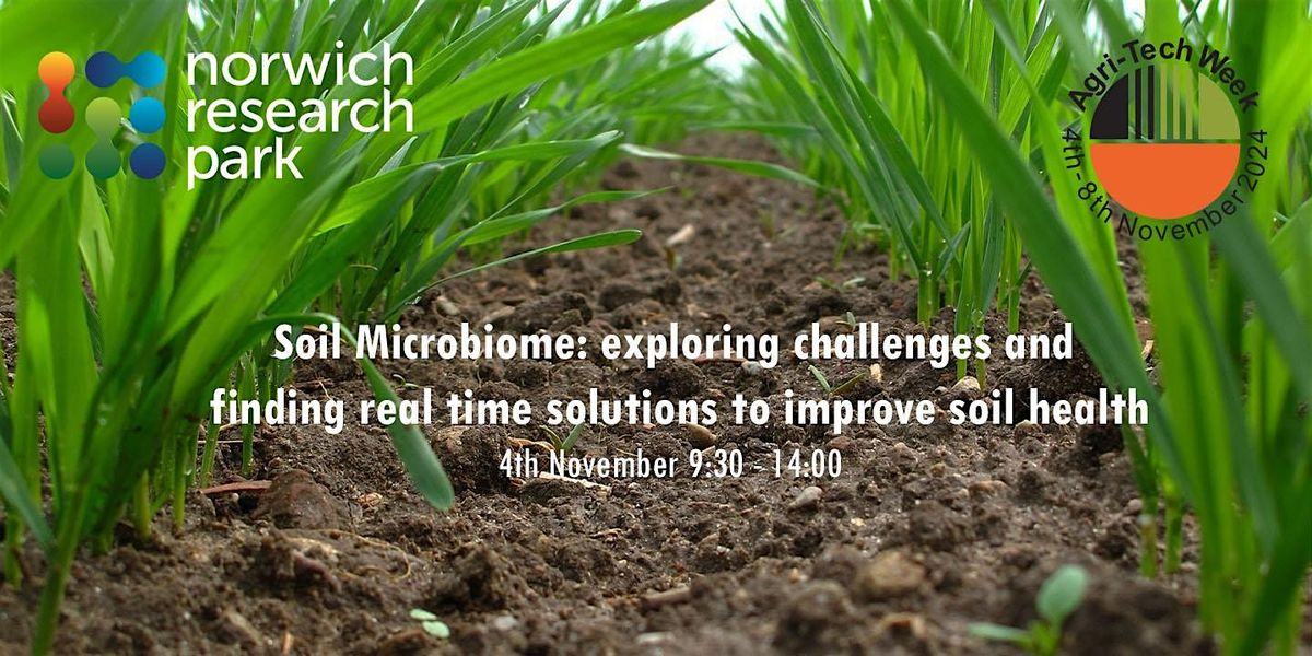 Soil Microbiome: exploring challenges and finding real time solutions