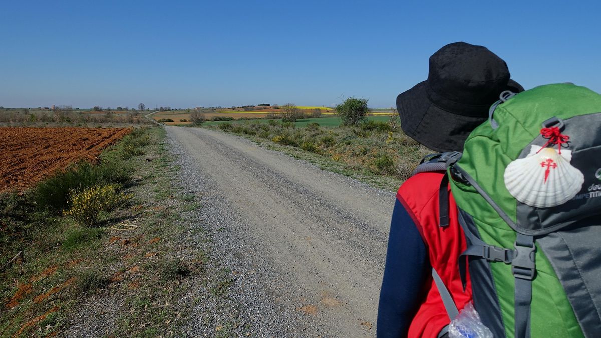 My Camino \/ Pilgrimage St. Jacob's Way (Elizabeth Hamilton)