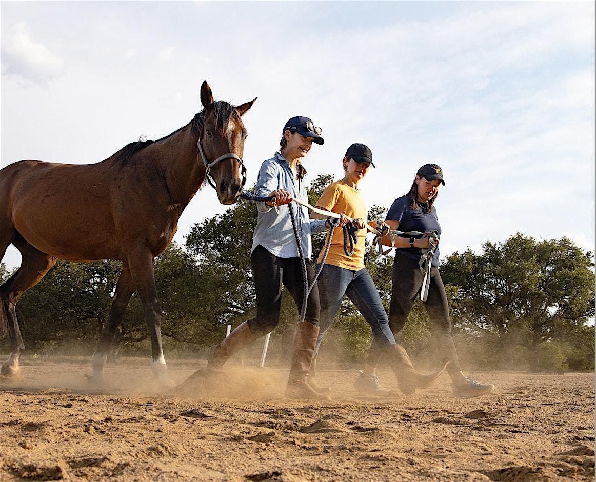 Equine Assisted Services Retreat for Coaches + Therapists