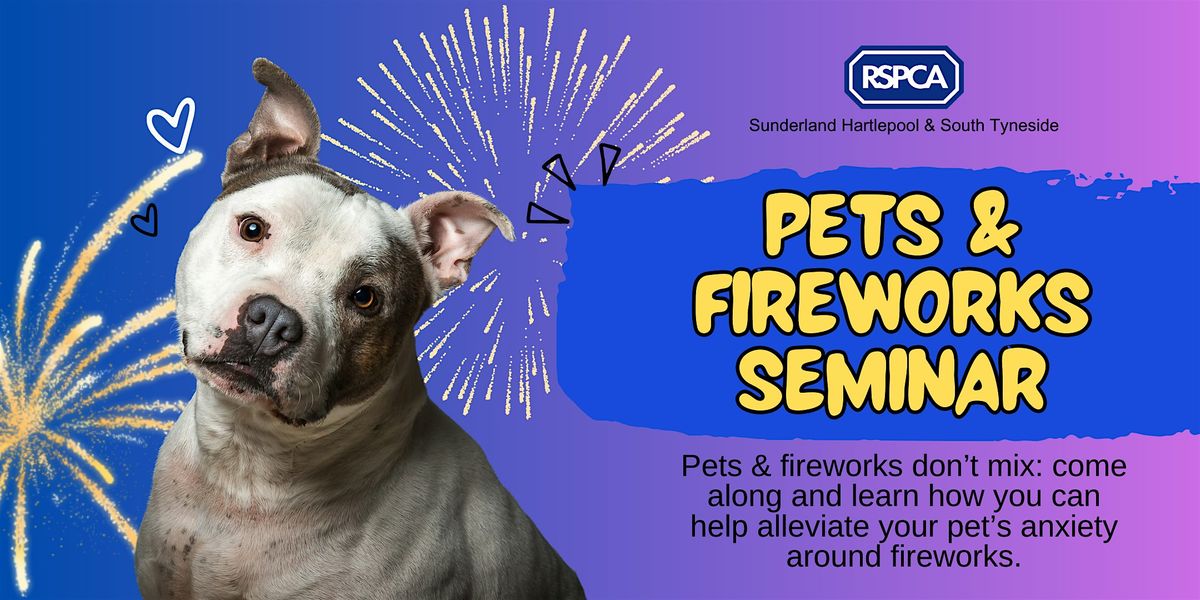 Pets & Fireworks Seminar: alleviate your pet's anxiety