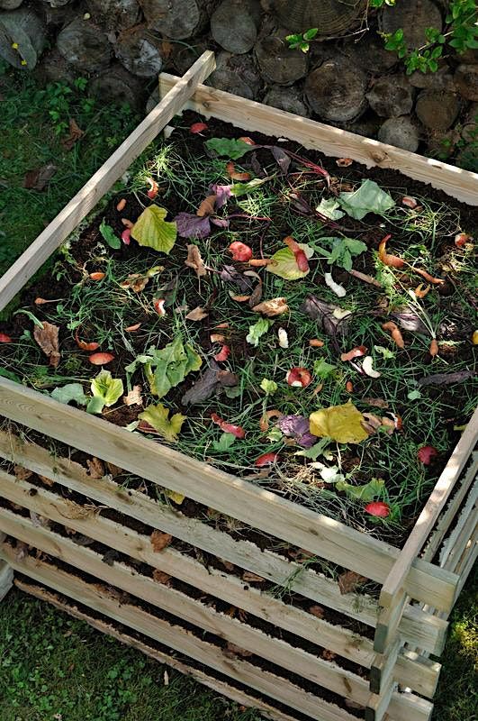 FREE In-person Workshop: Composting Basics