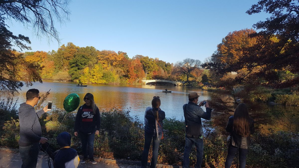 Central Park Walking Tour