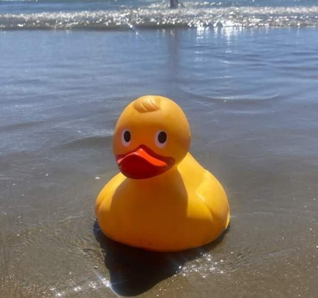 Ducky Derby - Orewa Beach Kindy Community Event 