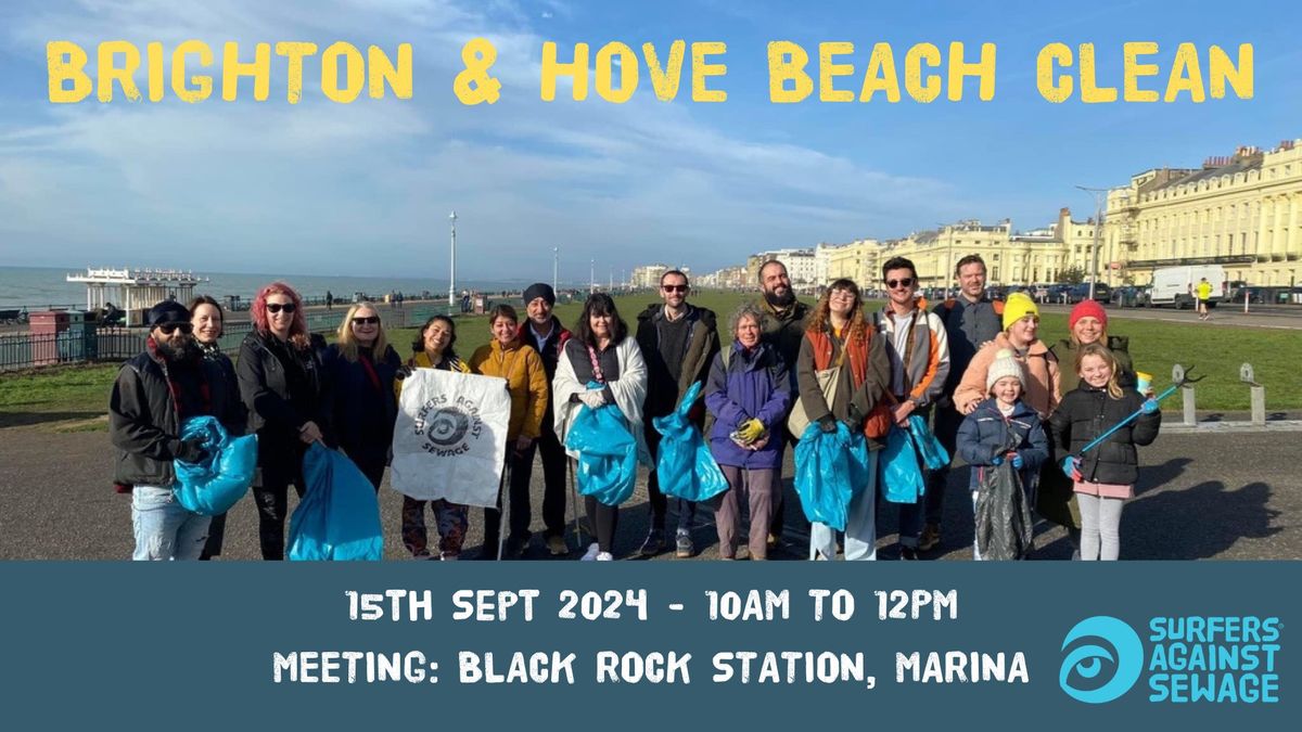 Brighton and Hove SAS beach clean