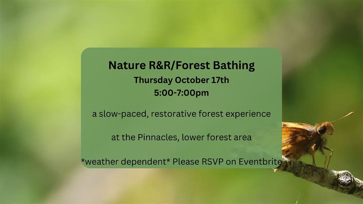 Nature R&R\/Forest Bathing