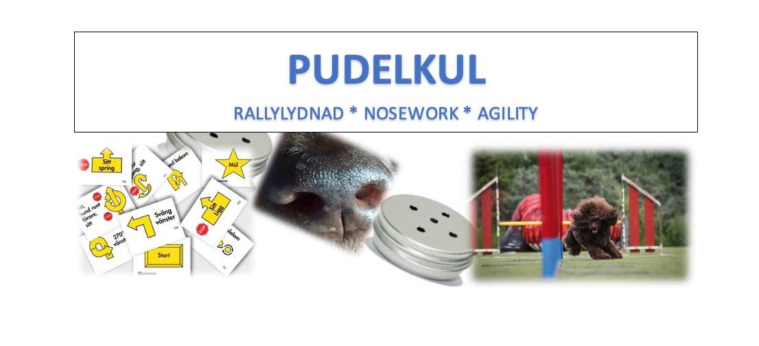 Pudelkul Grund\/Nyb\u00f6rjarkurs DAGTID