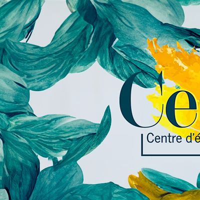 Centre d'\u00e9tudes sud-asiatiques et himalayennes