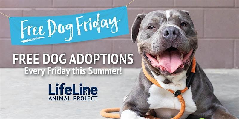 FREE Dog Fridays at ALL LifeLine Animal Project Shelters