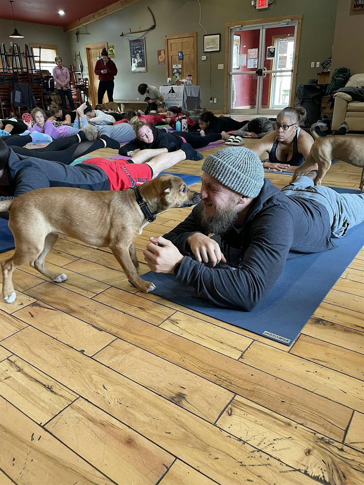 Doggy Noses & Yoga Poses at THE Pearl