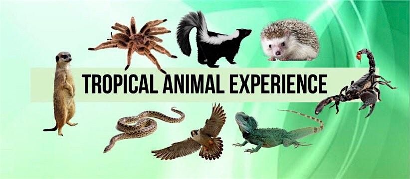Tropical Animal Experience