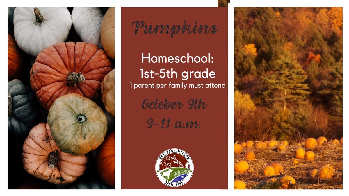 Homeschool 1st-5th: Pumpkins