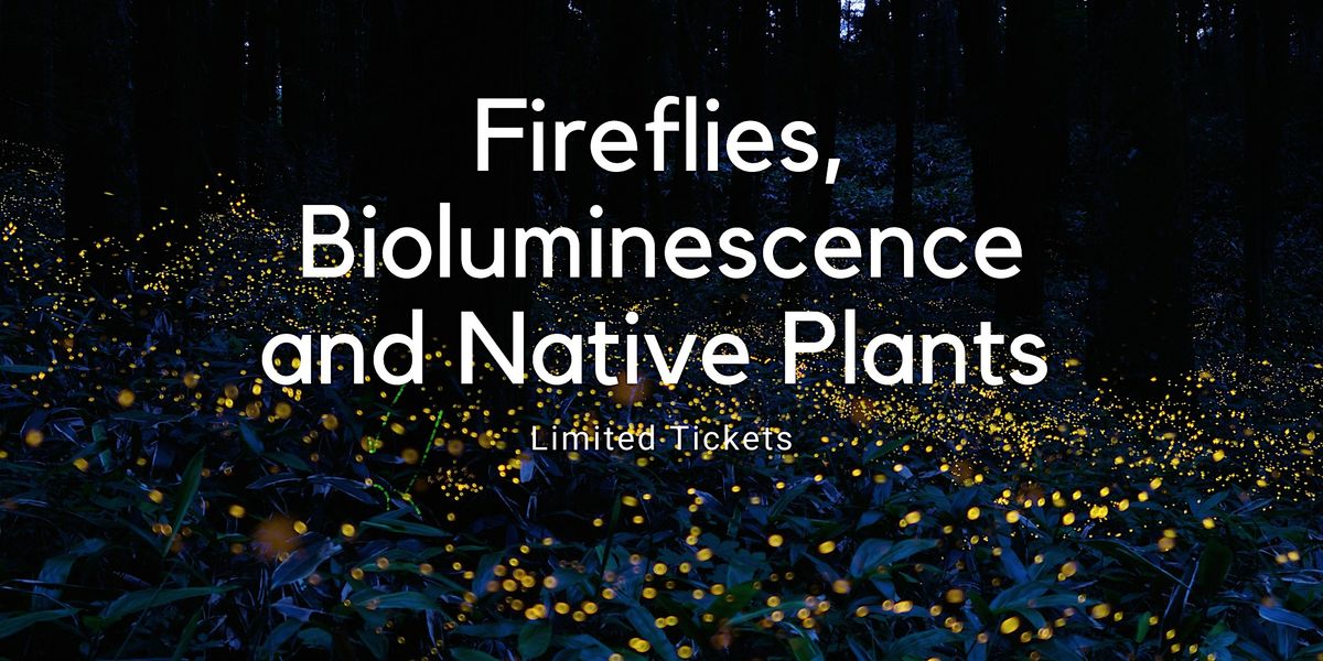 Fireflies, Bioluminescence and Native Plants June 29th