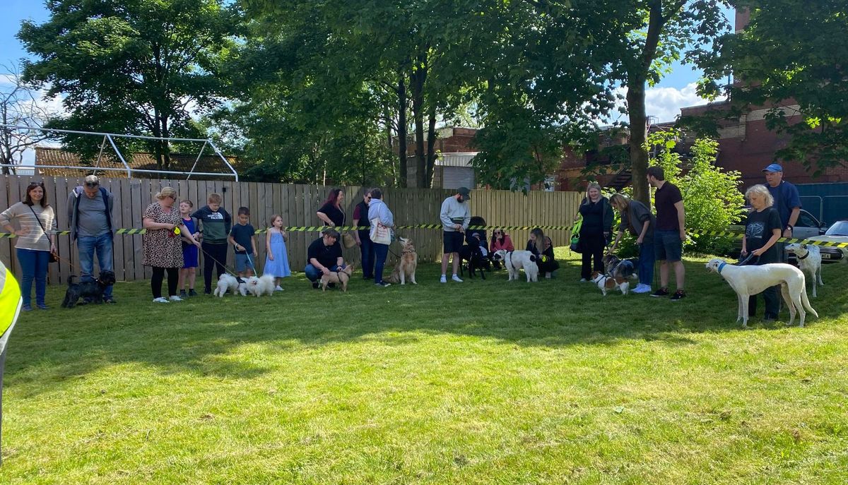 Fun Dog Show at Worker Bee Market event