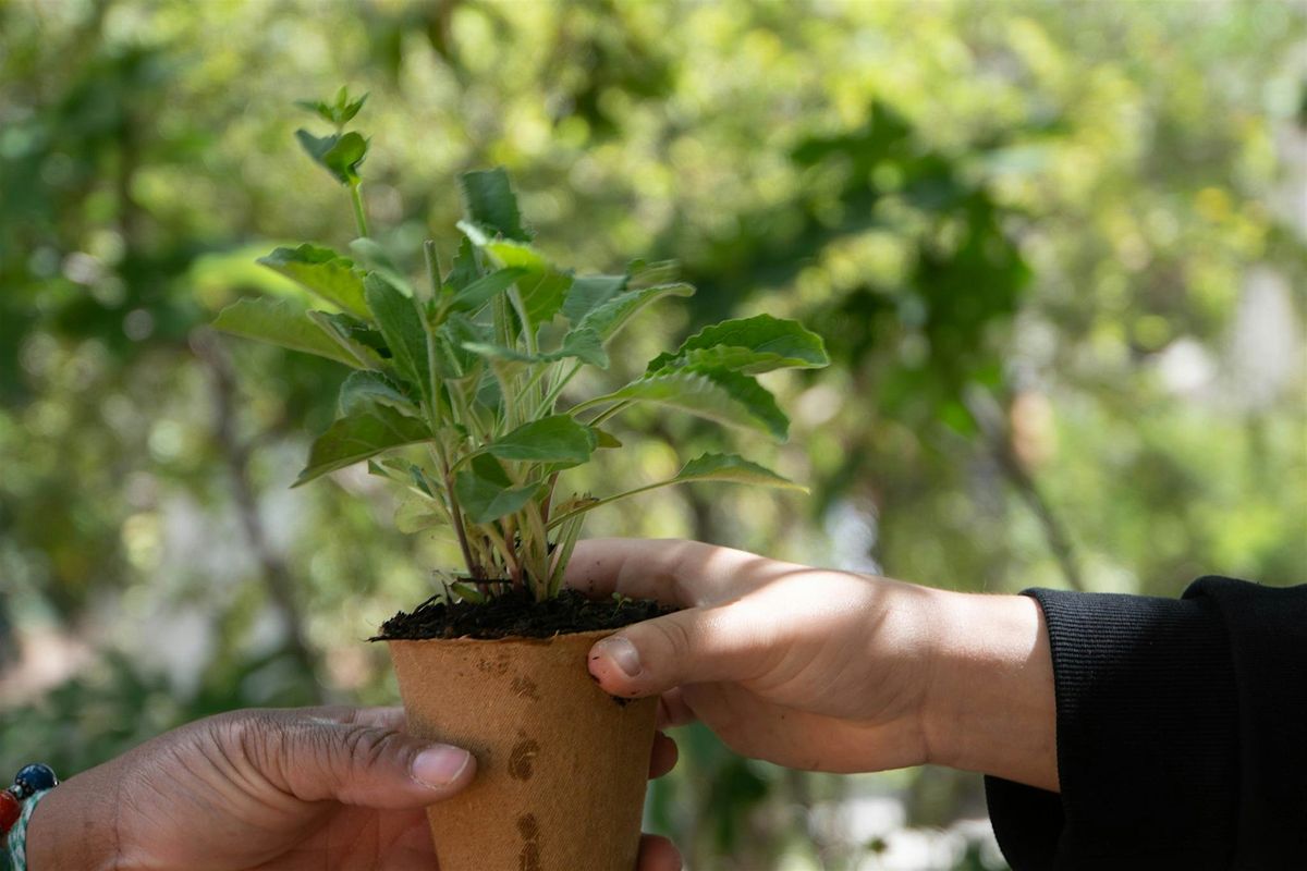 Seed Workshop 101 @ HCC Plant City Campus: Open to Everyone!