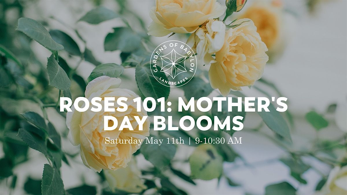 Roses 101: Mother's Day Blooms