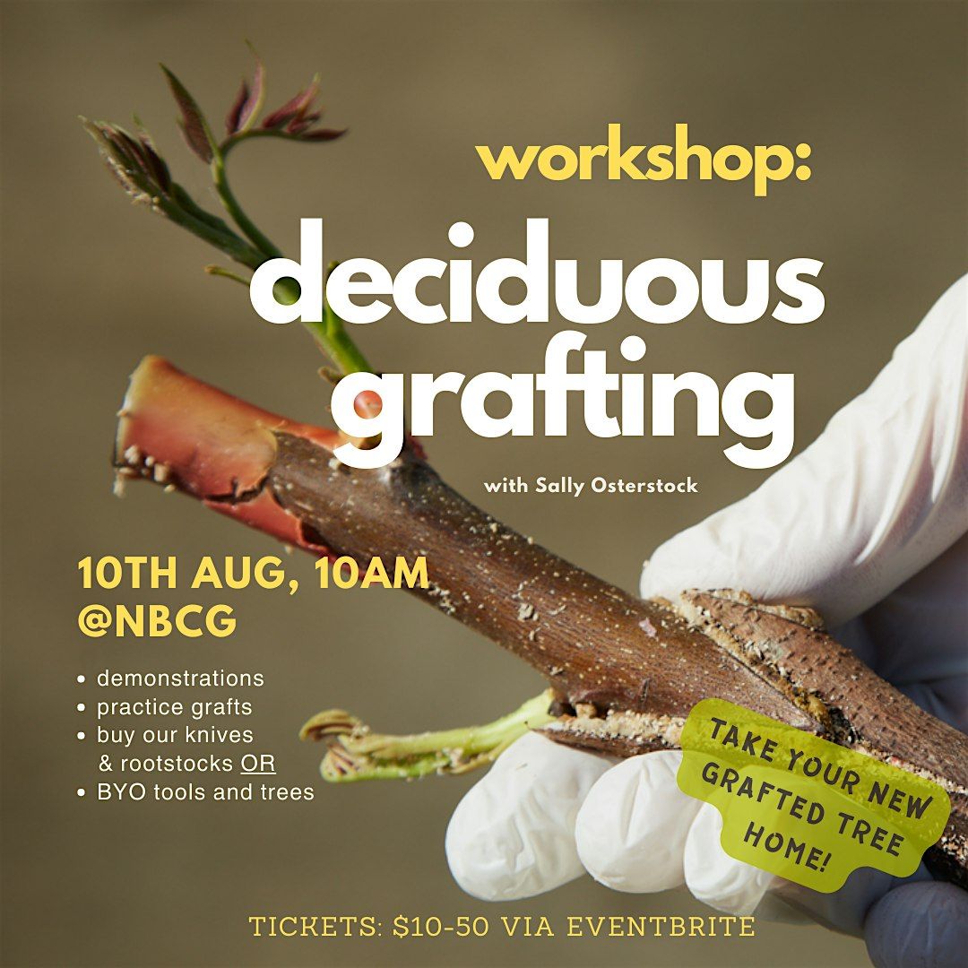 Workshop: Deciduous Grafting