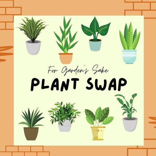 Plant Swap!