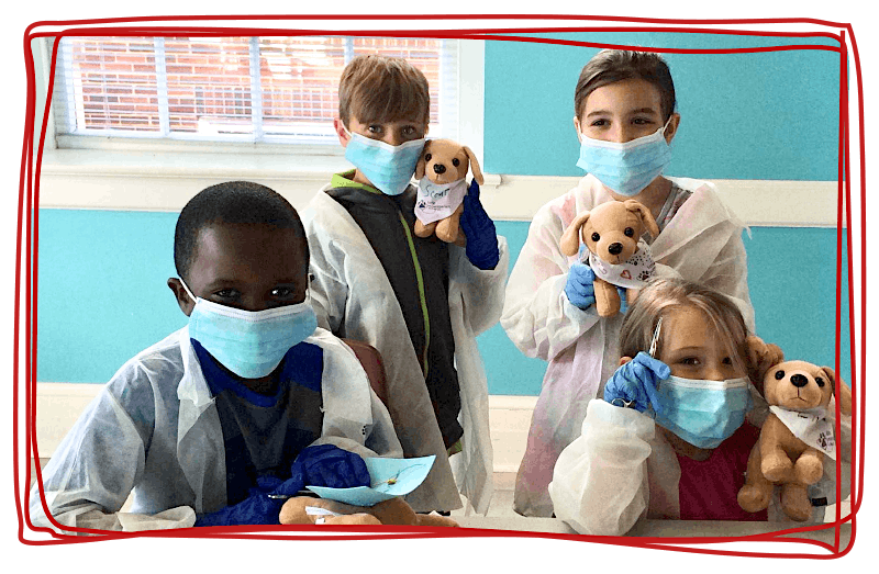 Little Veterinarian School Summer Camp Ages 6-11 Dalhousie NW Dallyn St.