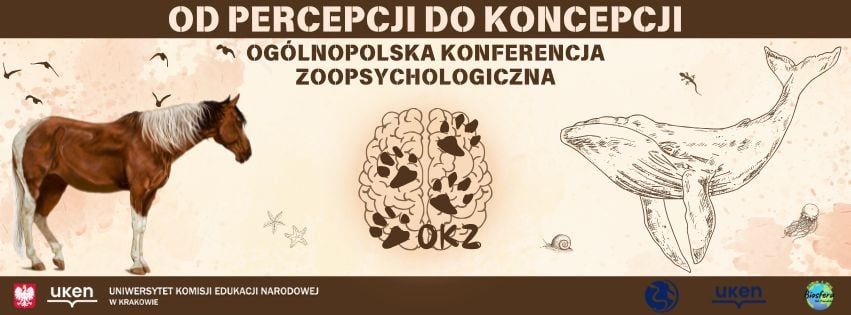 Od percepcji do koncepcji