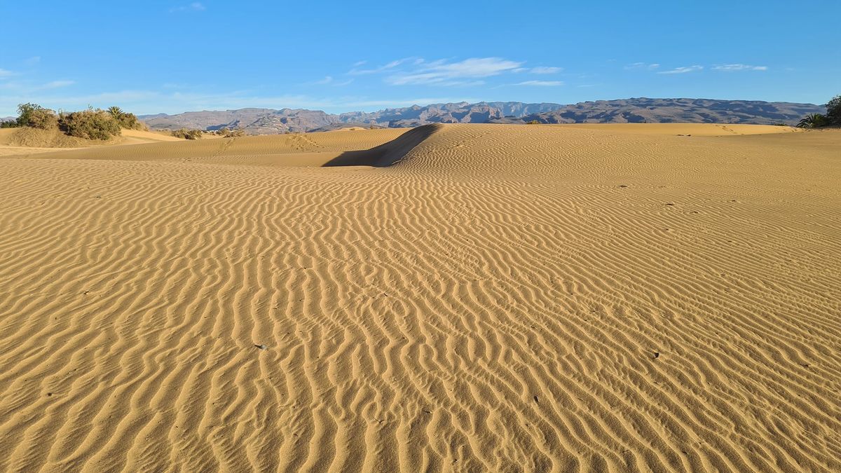 Maspalomas Yoga & Qigong retreat 