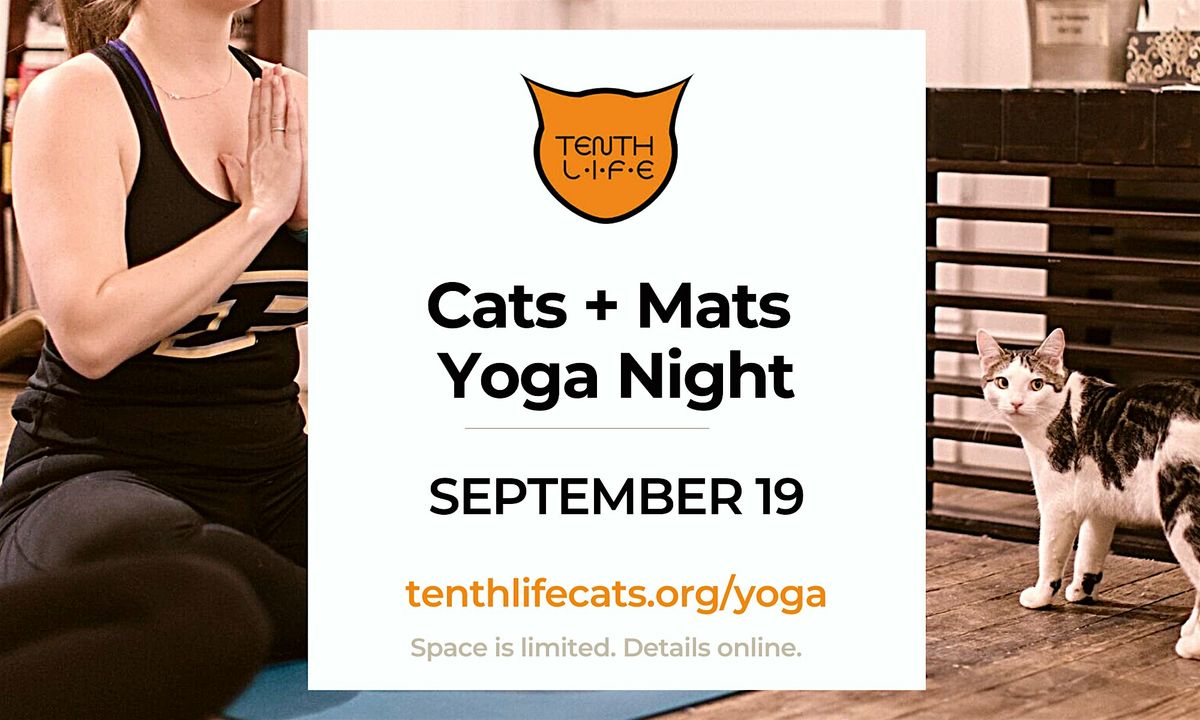 Cats N' Mats Yoga Night - September 2024