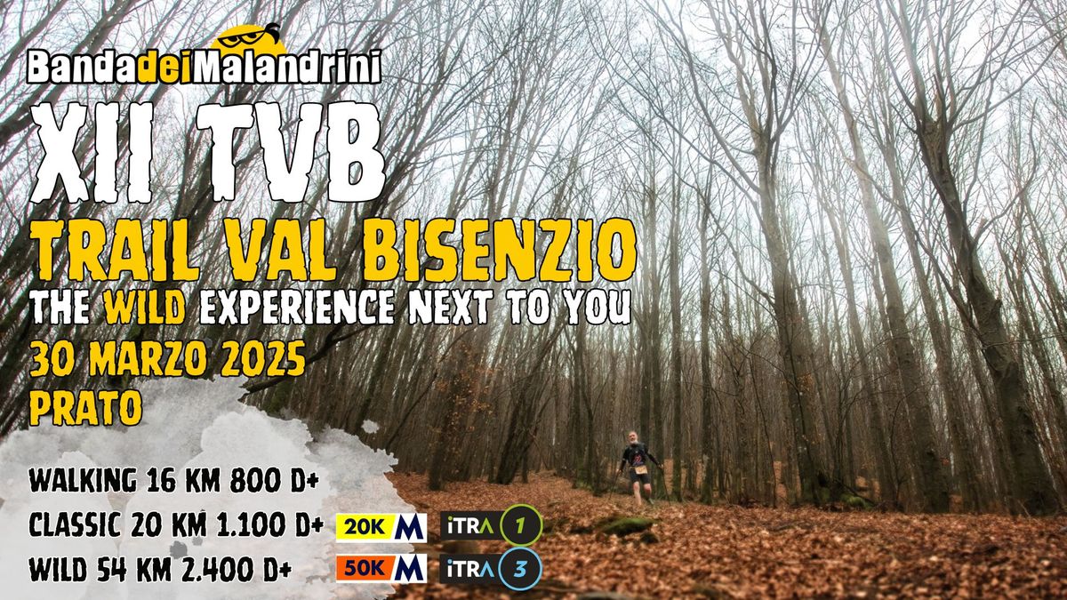 XII T.V.B. Trail Val Bisenzio