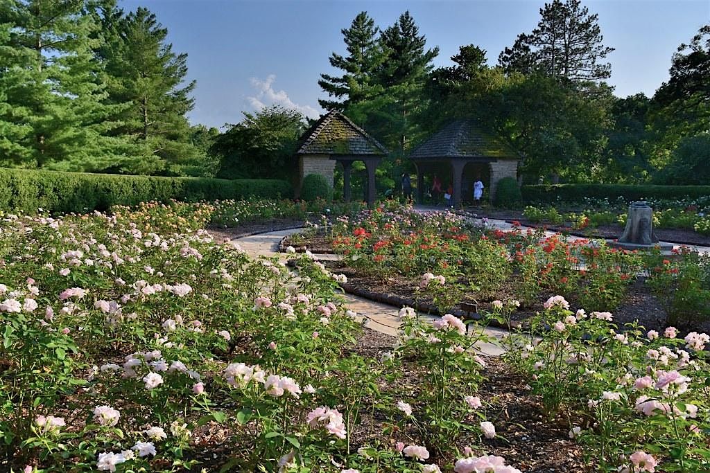 Plein Air at the Rose Garden