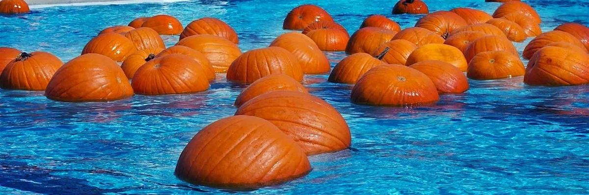 Pumpkin Pool-Ooza at The Pool School