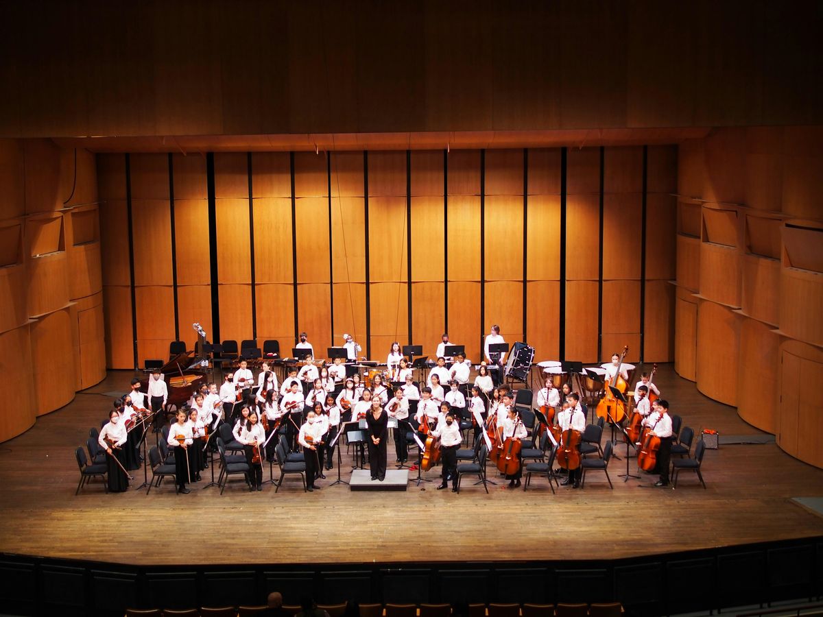 American Youth Debut Orchestra & American Youth String Ensemble in Concert