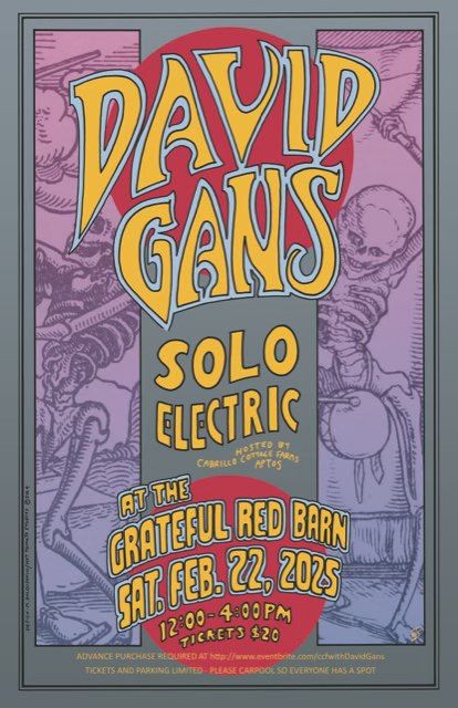 David Gans solo electric in Aptos