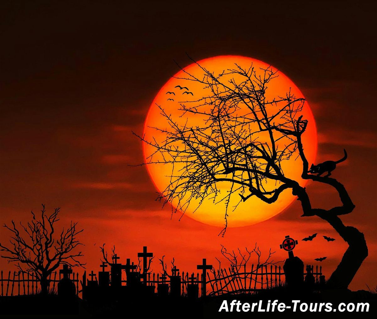 Paranormal Tour of Spring Lake Cemetery