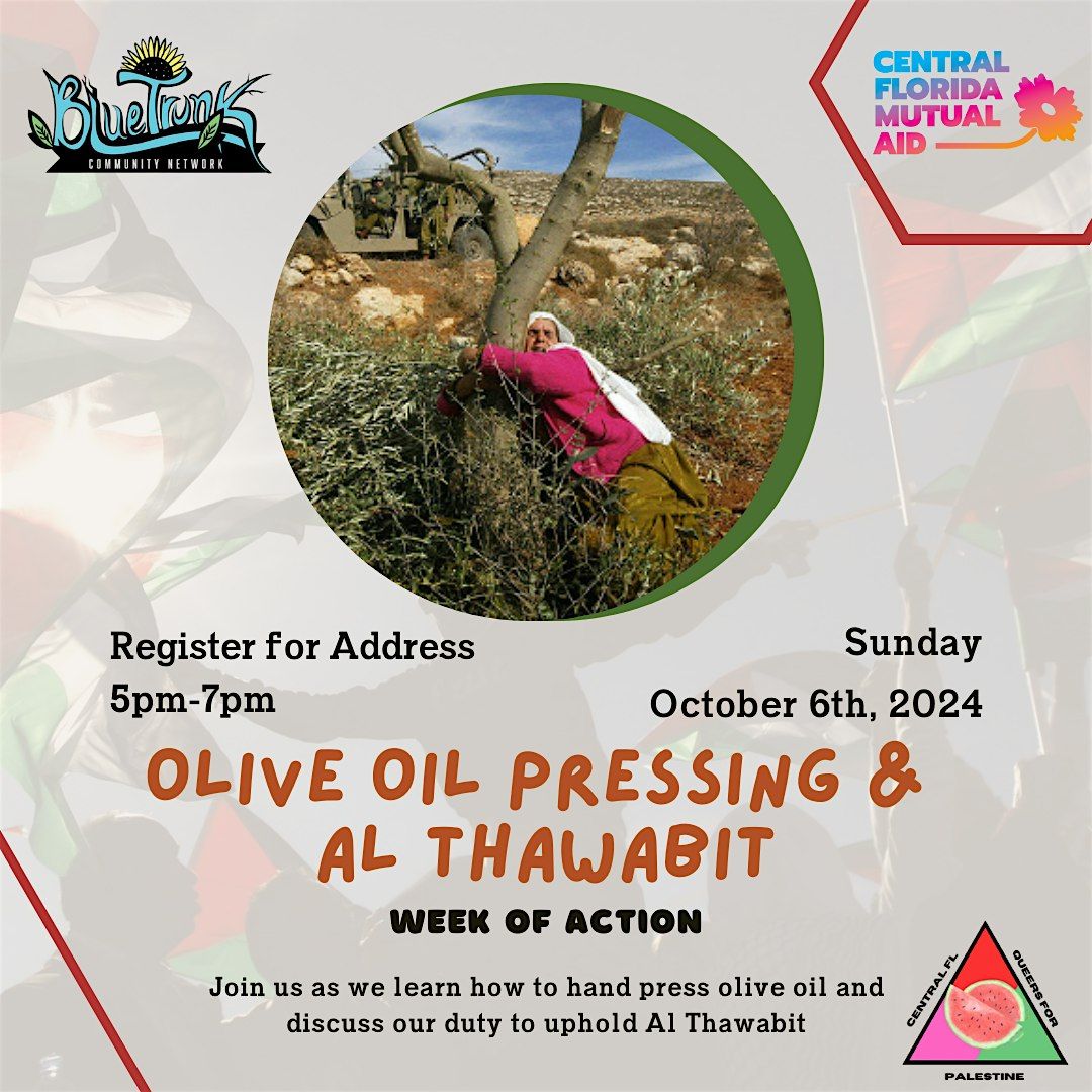 Olive Oil Pressing & Al Thawabit