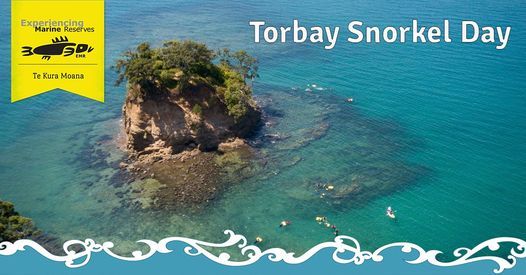 Torbay Snorkel Day