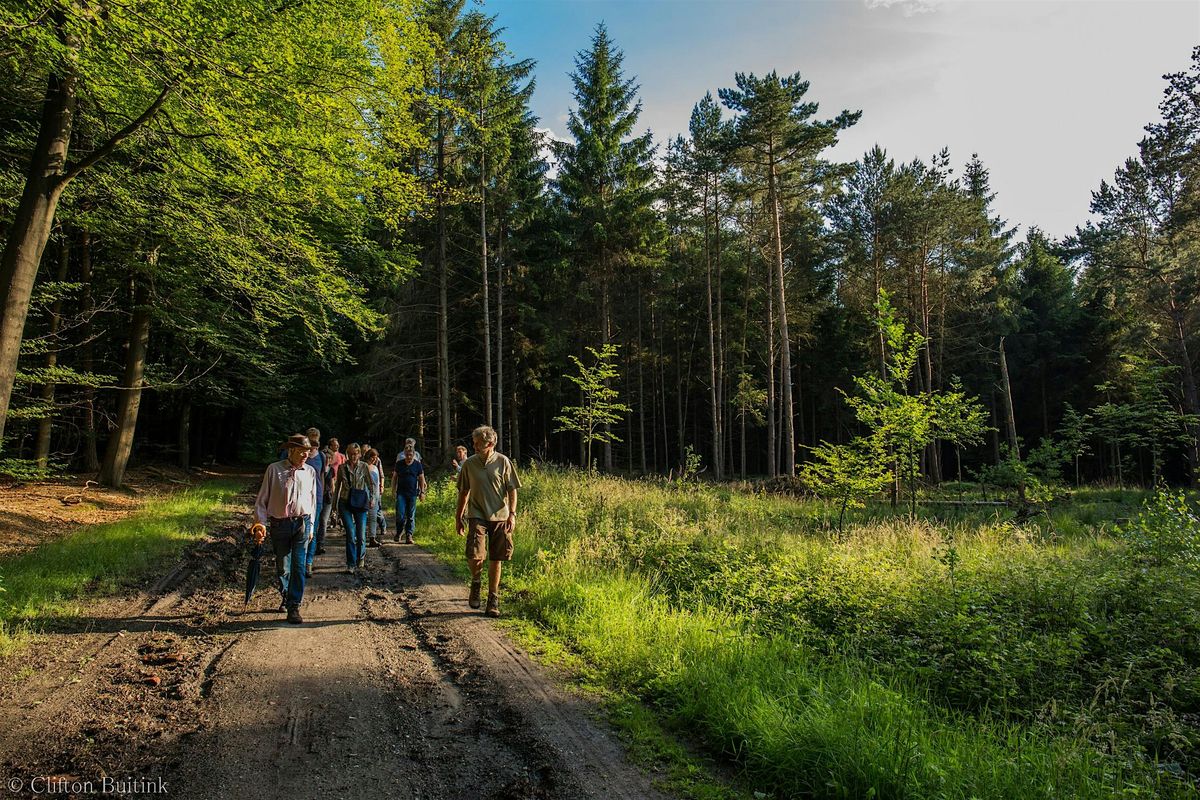 Excursie \u2018Herfst en paddenstoelen\u2019 Lonnekerberg