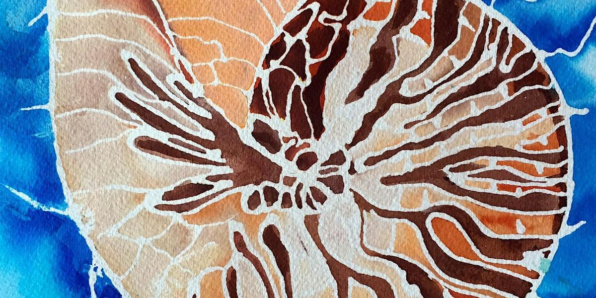 Mosaic  Nautilus Shell in Watercolors with Phyllis Gubins