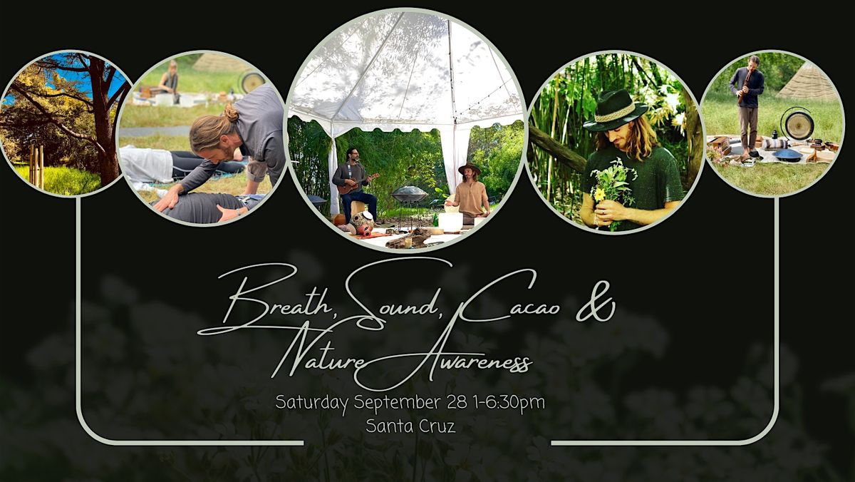 The Illuminated Self :: Breath, Sound, Cacao & Nature Awareness Workshop