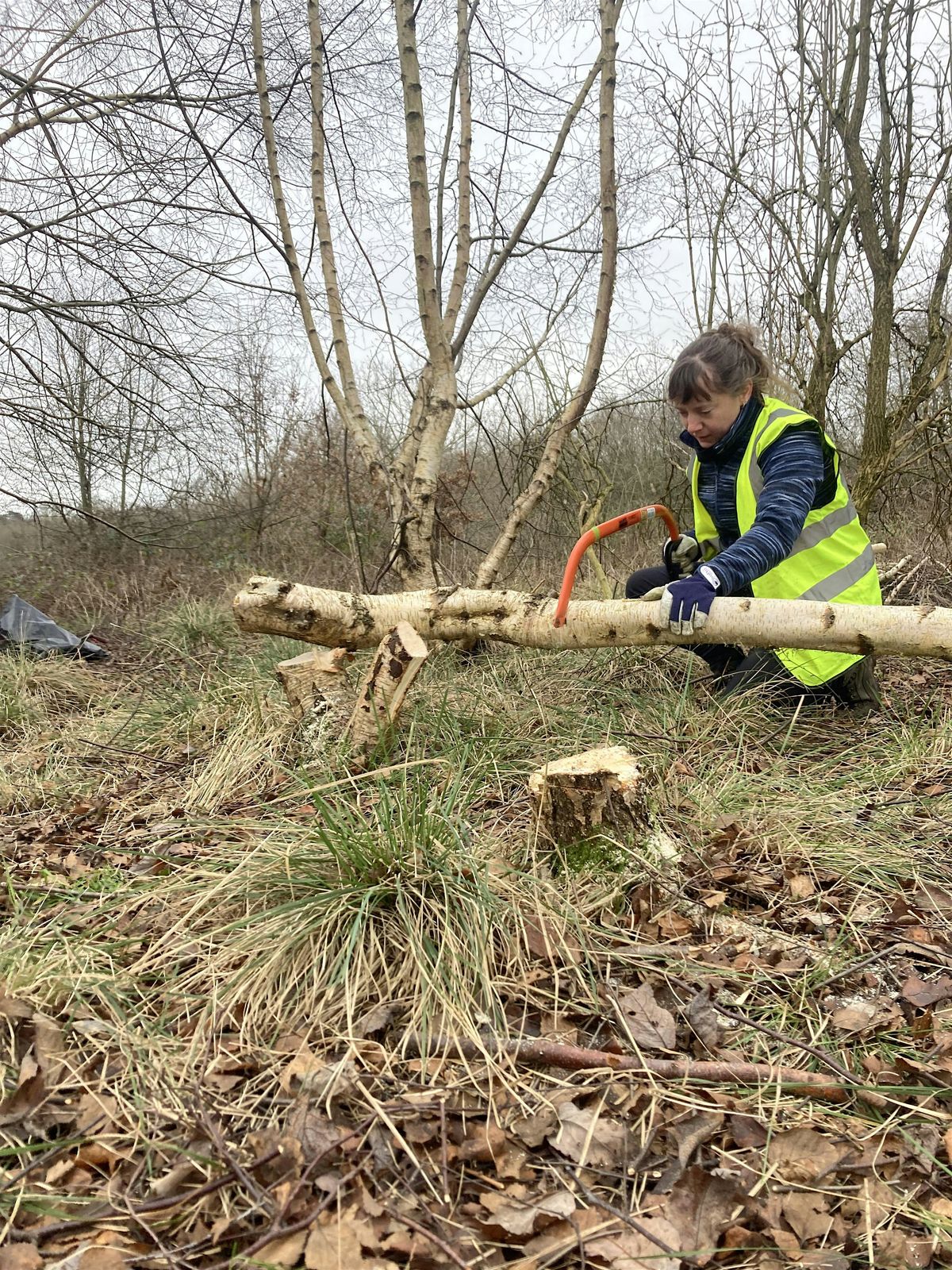 Volunteer day: hands-on conservation in Epping Forest (Women* only)