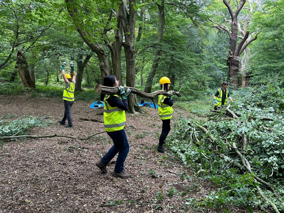 Volunteer days: hands-on conservation in Epping Forest (Women* only)