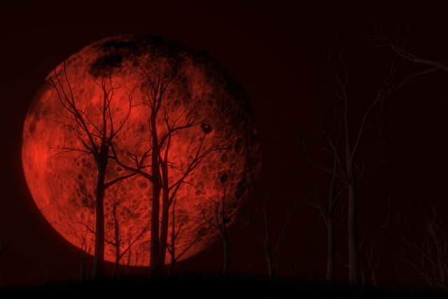 Goths Stare at the Blood Moon (Lunar Eclipse Viewing)