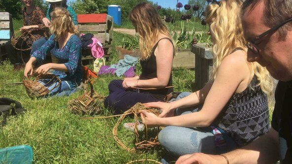 Willow Basketry