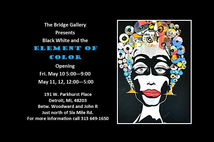 Black, White and the Element of Color Art Exhibit