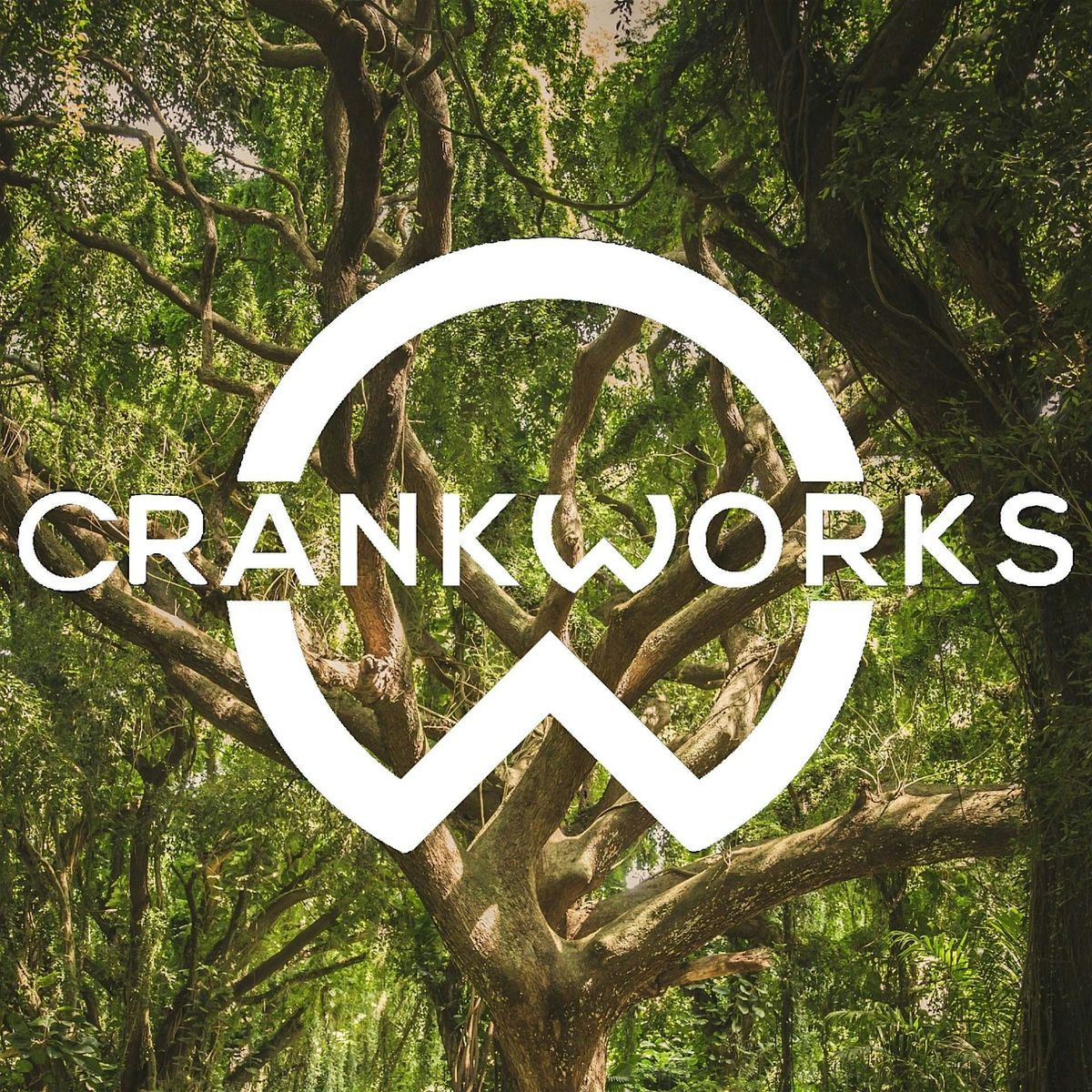 Welcome to the Crank Works Bicycle Shop E-bike Adventure!