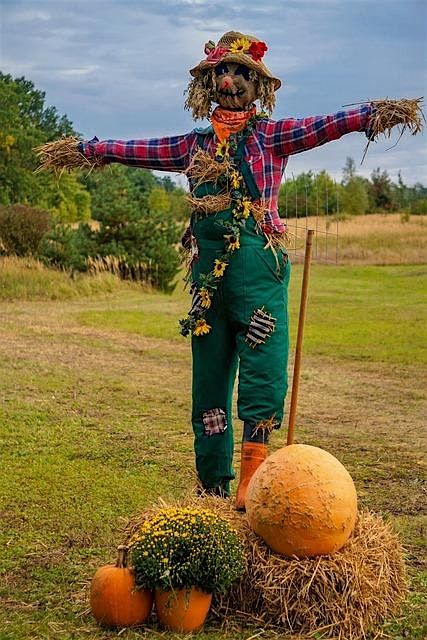 Scarecrow Competition at Bridie's Farm Open Day